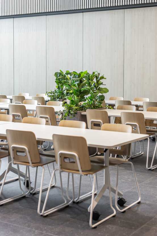 Vaaranlampi skole