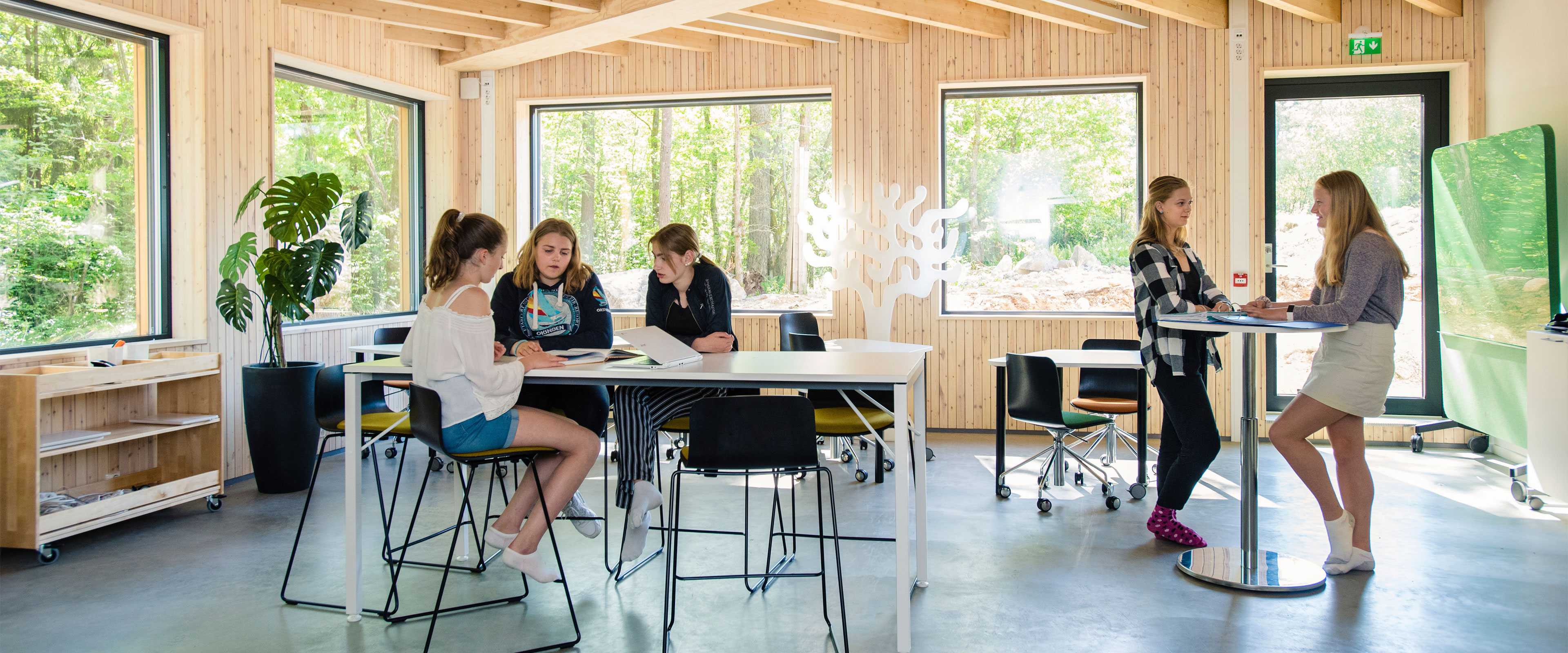 Drobak Montessori School